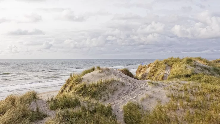 Strand duinen Noordzee